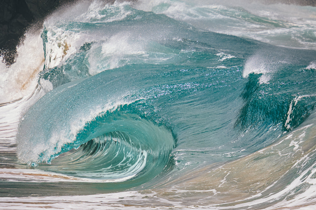 Small but ferocious!