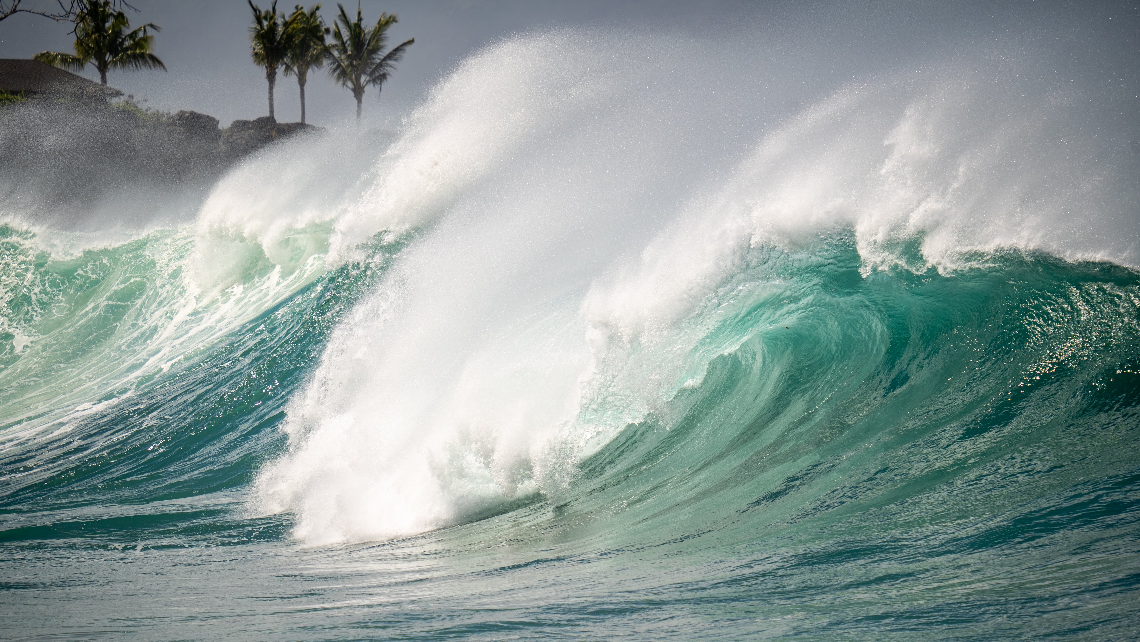 Waimea Shorebreak