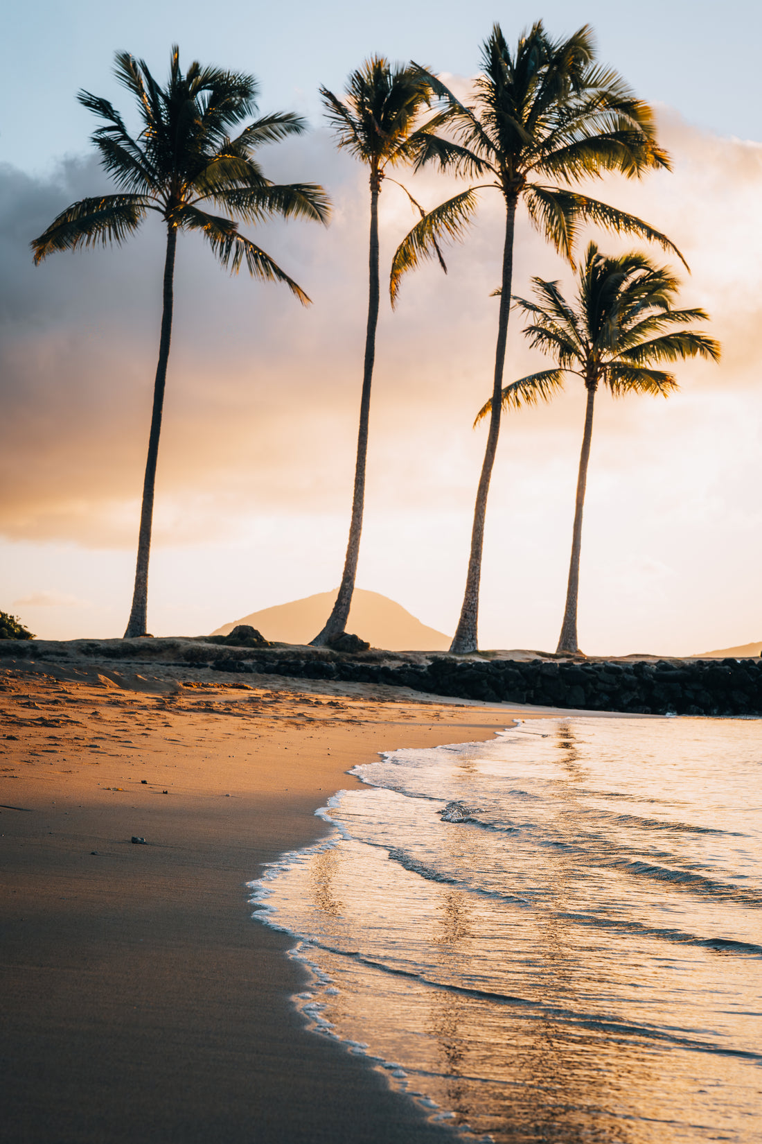 Serene Sunset with Palm Trees