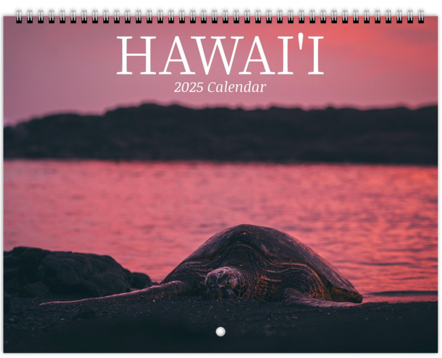 Wall calendars 2025 (US & CA)
