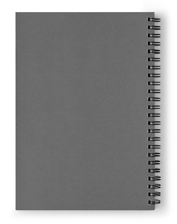 Rainbow falls - Spiral Notebook