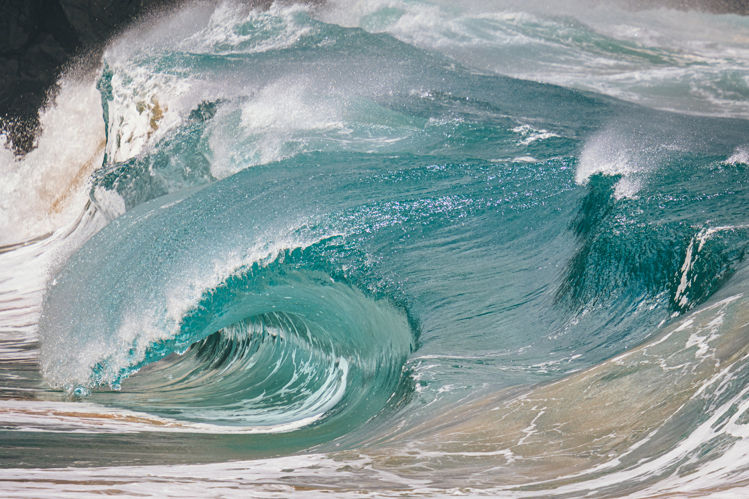 Small but ferocious!