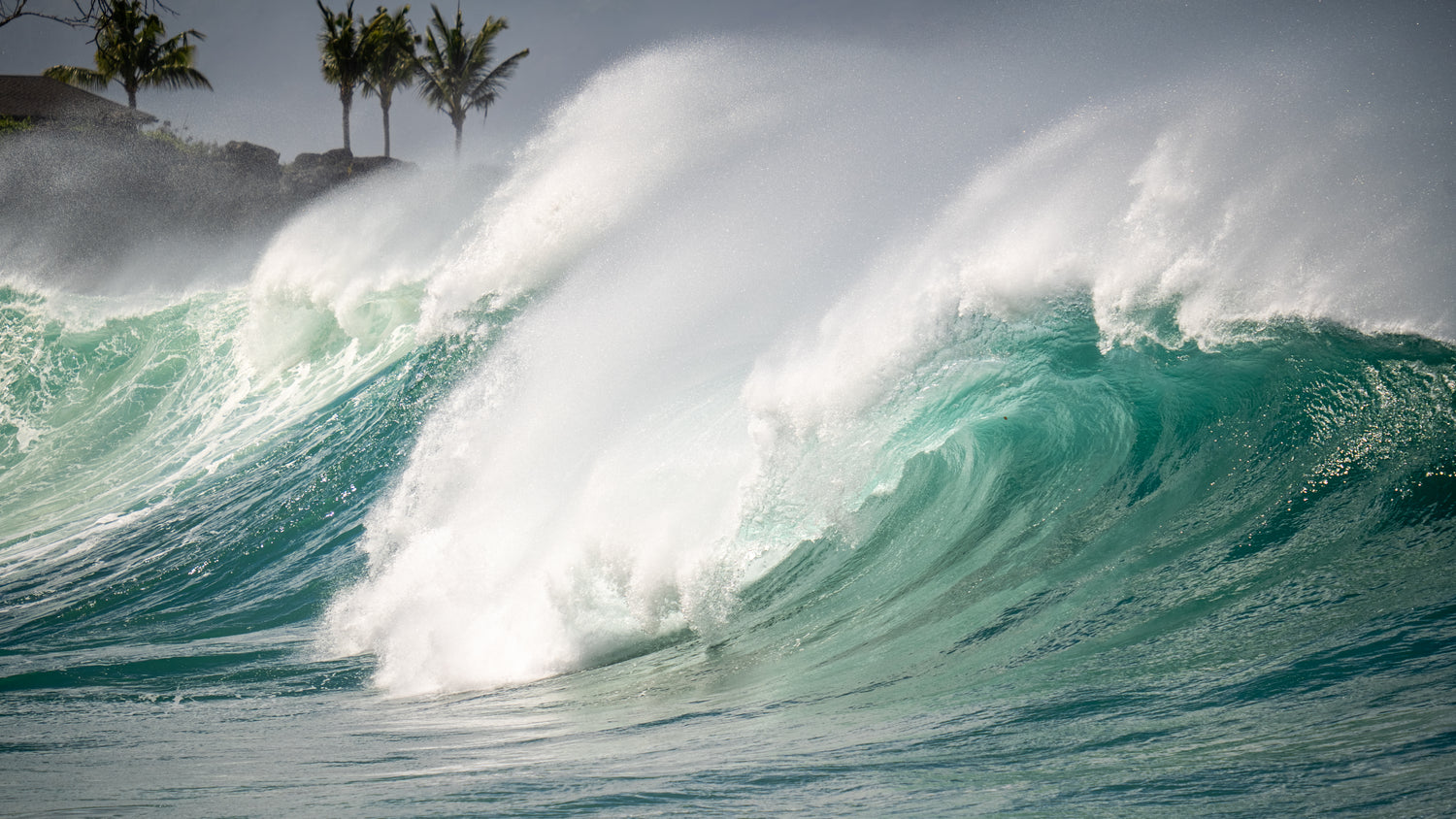Waimea Shorebreak