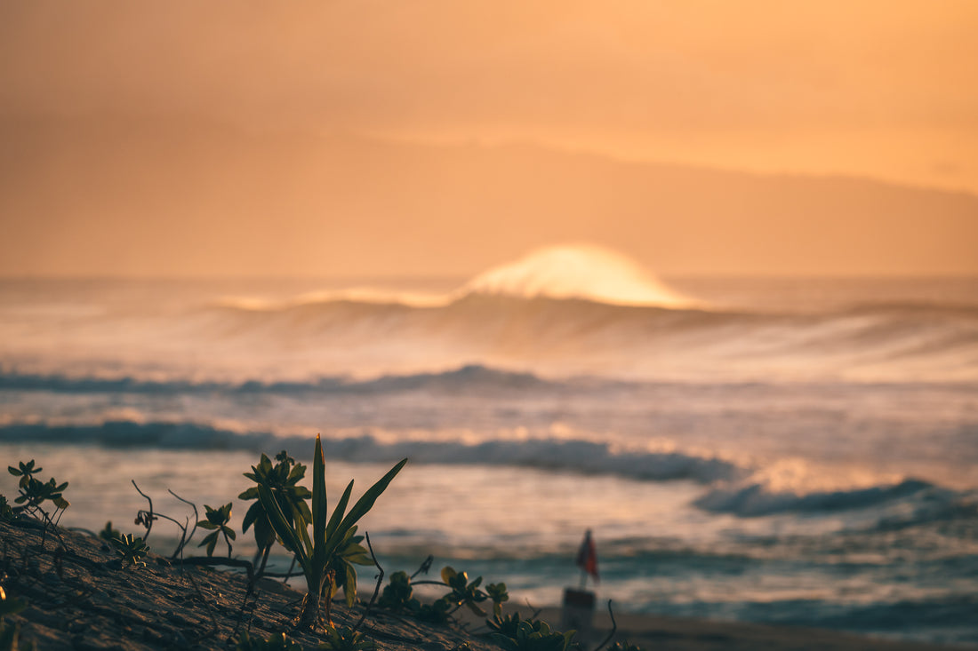 North Shore sunset - Art Print