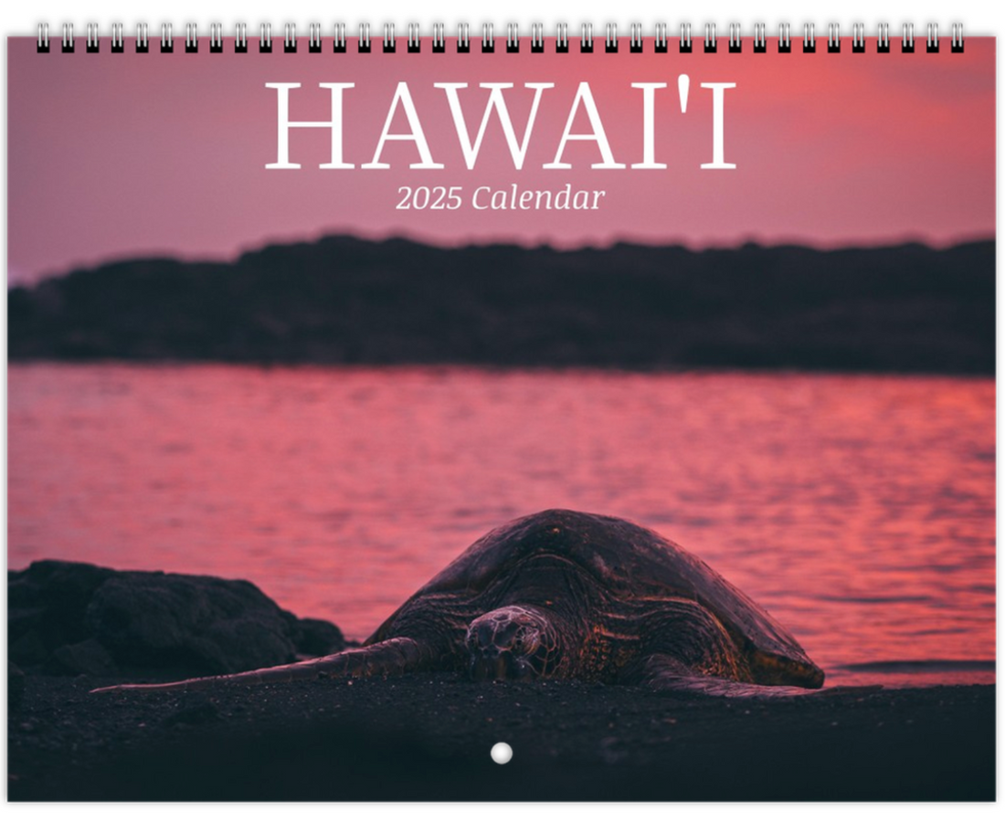 Wall calendars 2025 (US & CA)