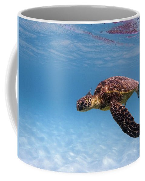 Hawaii Sea Turtle - Mug - DMA PRINTS