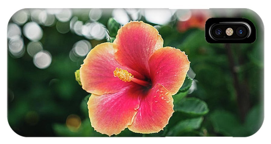 Hawaiian sunset hibiscus - Phone Case - DMA PRINTS