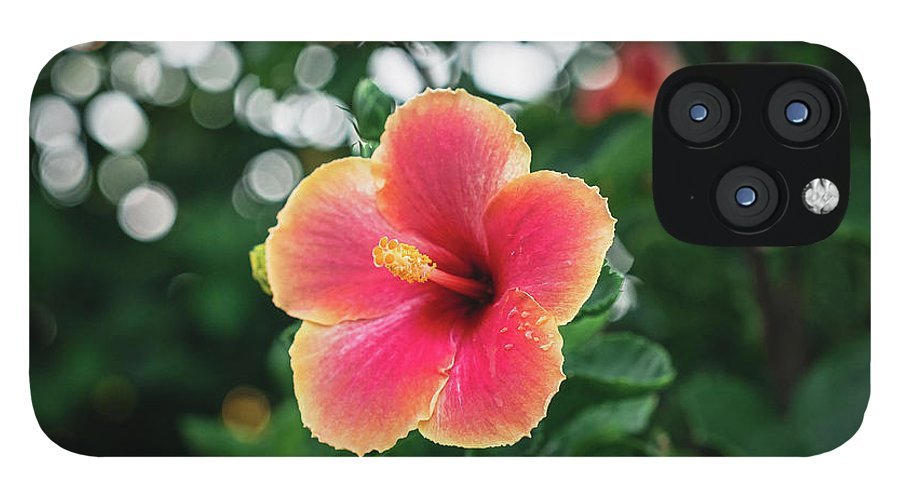 Hawaiian sunset hibiscus - Phone Case - DMA PRINTS