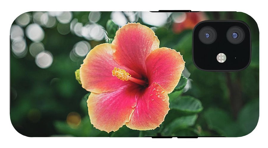 Hawaiian sunset hibiscus - Phone Case - DMA PRINTS