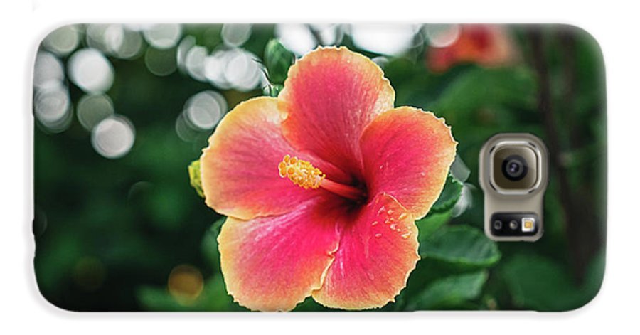 Hawaiian sunset hibiscus - Phone Case - DMA PRINTS