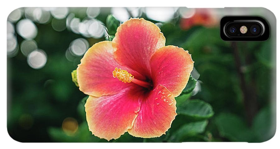 Hawaiian sunset hibiscus - Phone Case - DMA PRINTS