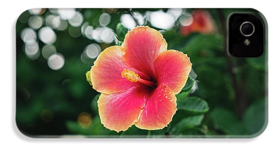 Hawaiian sunset hibiscus - Phone Case - DMA PRINTS