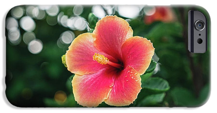 Hawaiian sunset hibiscus - Phone Case - DMA PRINTS