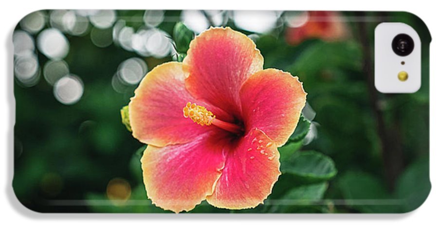 Hawaiian sunset hibiscus - Phone Case - DMA PRINTS