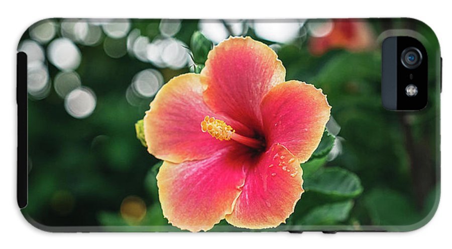 Hawaiian sunset hibiscus - Phone Case - DMA PRINTS