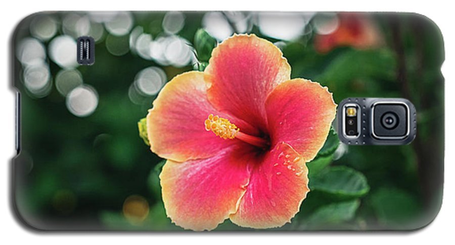 Hawaiian sunset hibiscus - Phone Case - DMA PRINTS