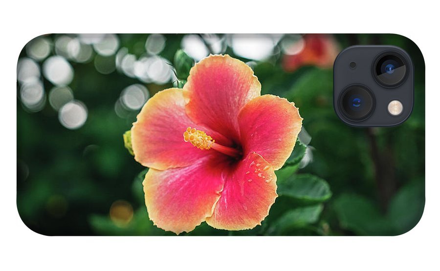 Hawaiian sunset hibiscus - Phone Case - DMA PRINTS