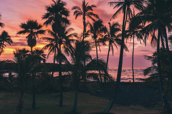 Palm tree sunrise - Art Print