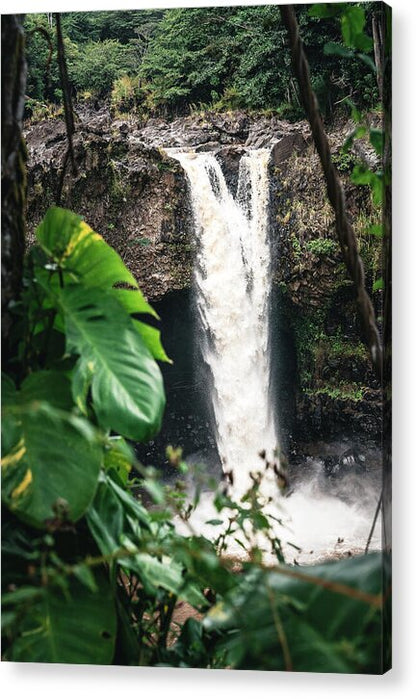 Rainbow falls - Acrylic Print