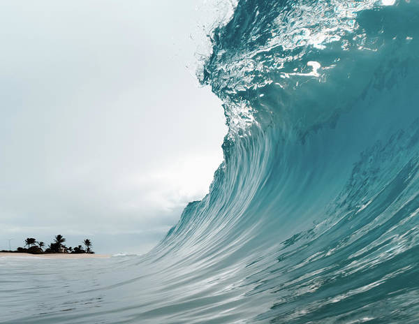 Sandy Beach Curl