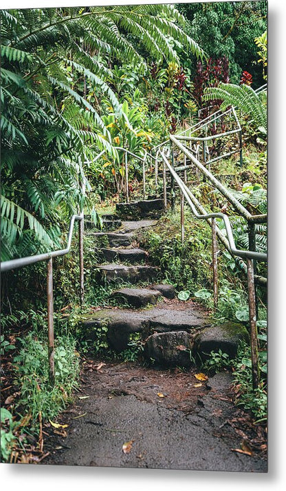 Stairway to the jungle - Metal Print