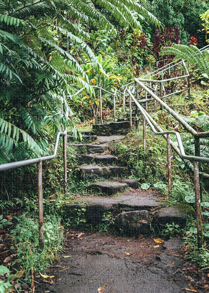 Stairway to the jungle - Puzzle