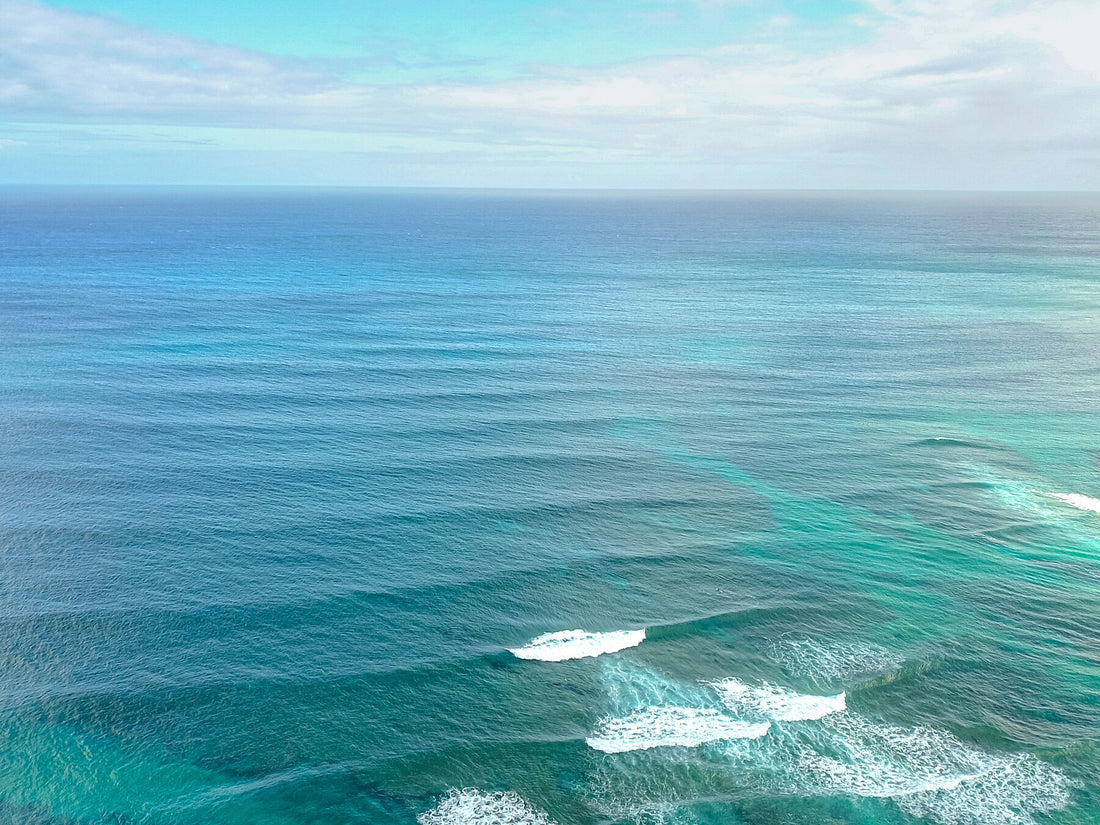 Rocky point BIRDS EYE