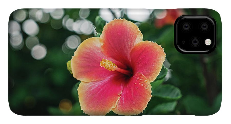 Hawaiian sunset hibiscus - Phone Case - DMA PRINTS