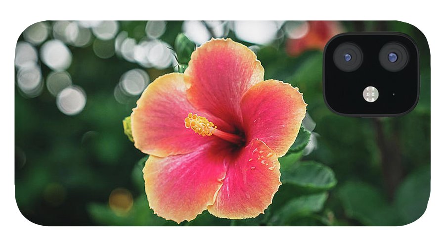 Hawaiian sunset hibiscus - Phone Case - DMA PRINTS