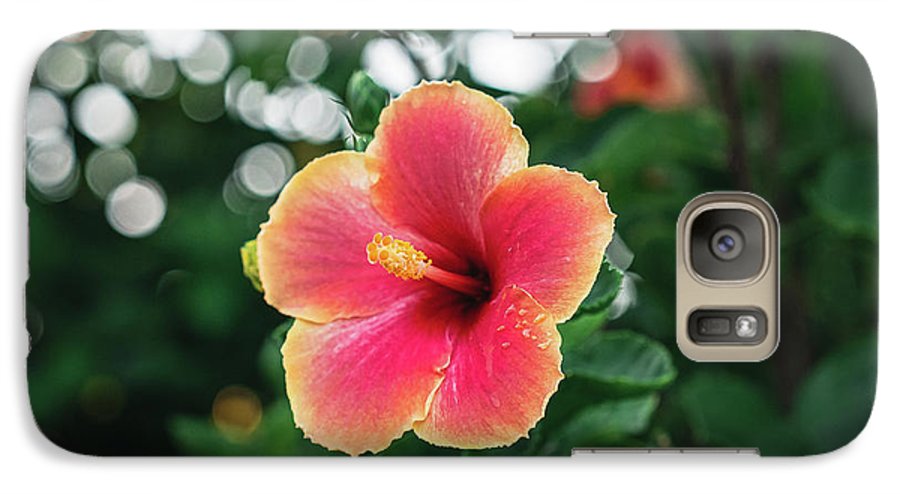 Hawaiian sunset hibiscus - Phone Case - DMA PRINTS