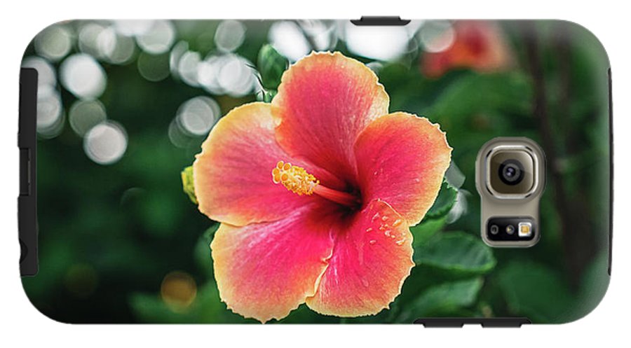 Hawaiian sunset hibiscus - Phone Case - DMA PRINTS