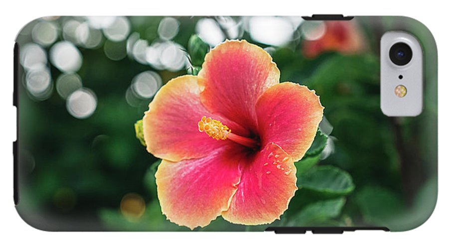 Hawaiian sunset hibiscus - Phone Case - DMA PRINTS