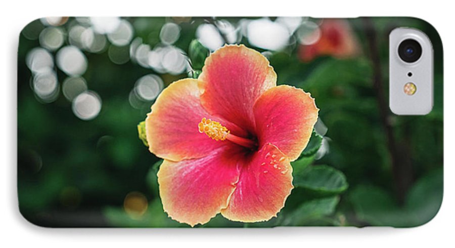 Hawaiian sunset hibiscus - Phone Case - DMA PRINTS