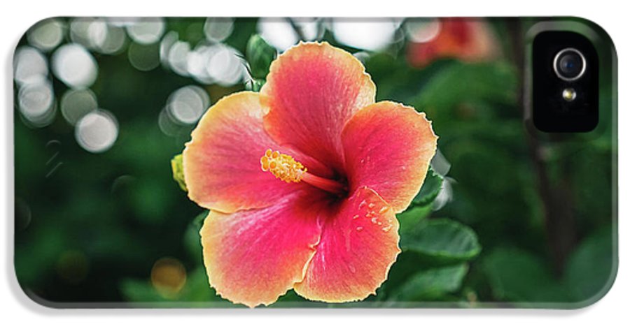 Hawaiian sunset hibiscus - Phone Case - DMA PRINTS