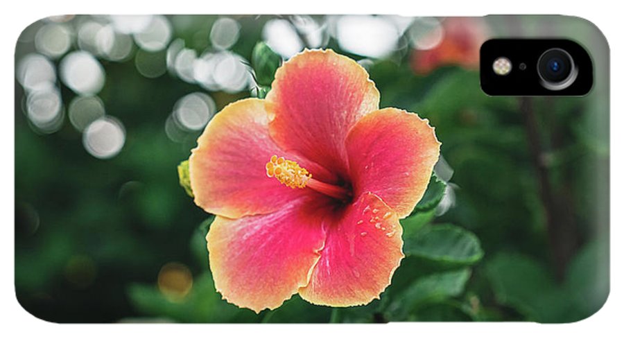 Hawaiian sunset hibiscus - Phone Case - DMA PRINTS