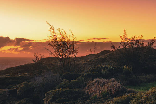 Maui Sunrise - Art Print