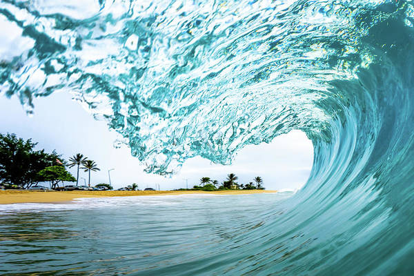 Sandy&