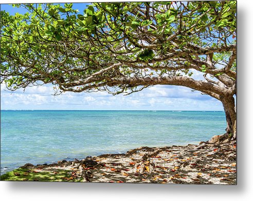 Views of paradise - Metal Print