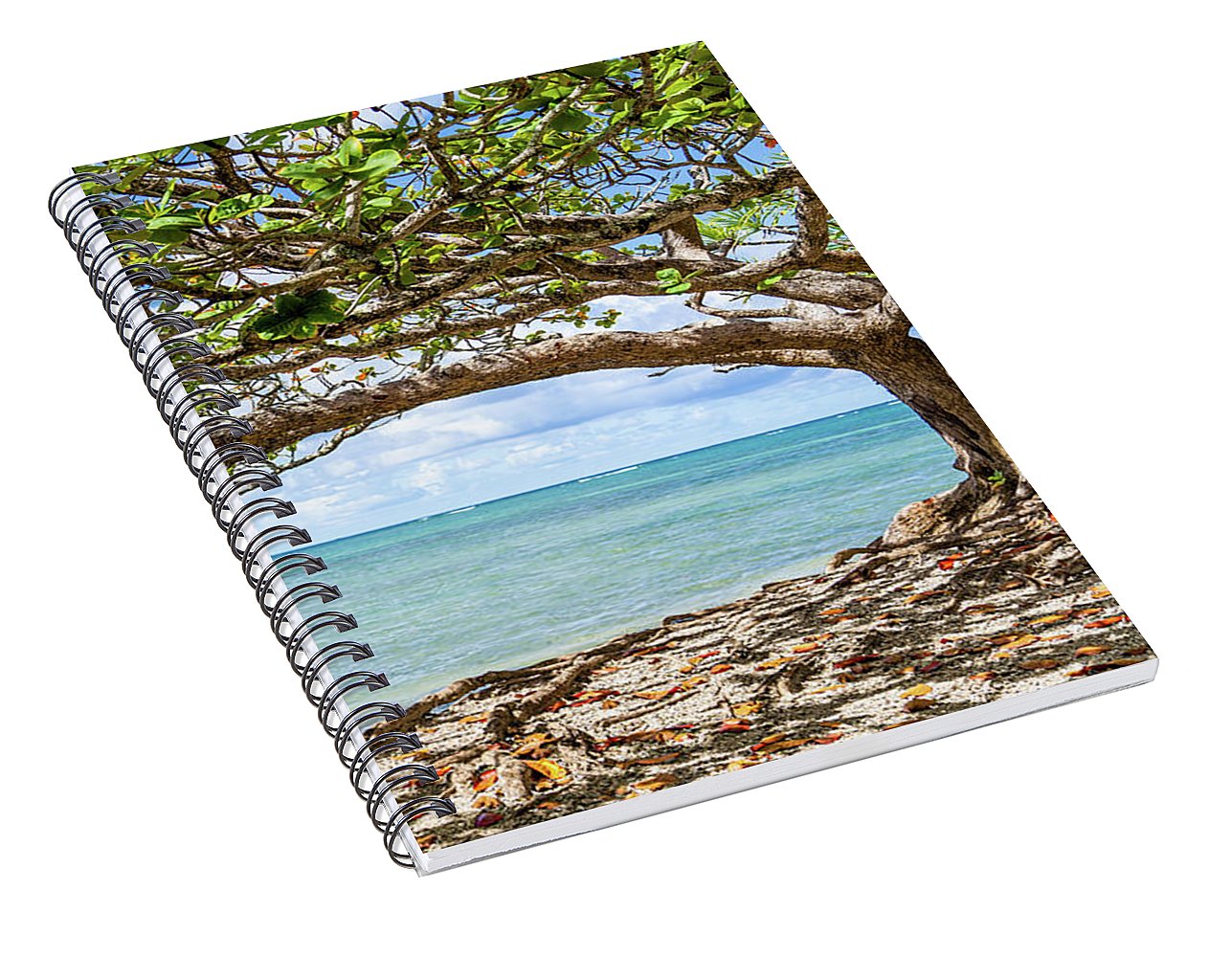 Views of paradise - Spiral Notebook